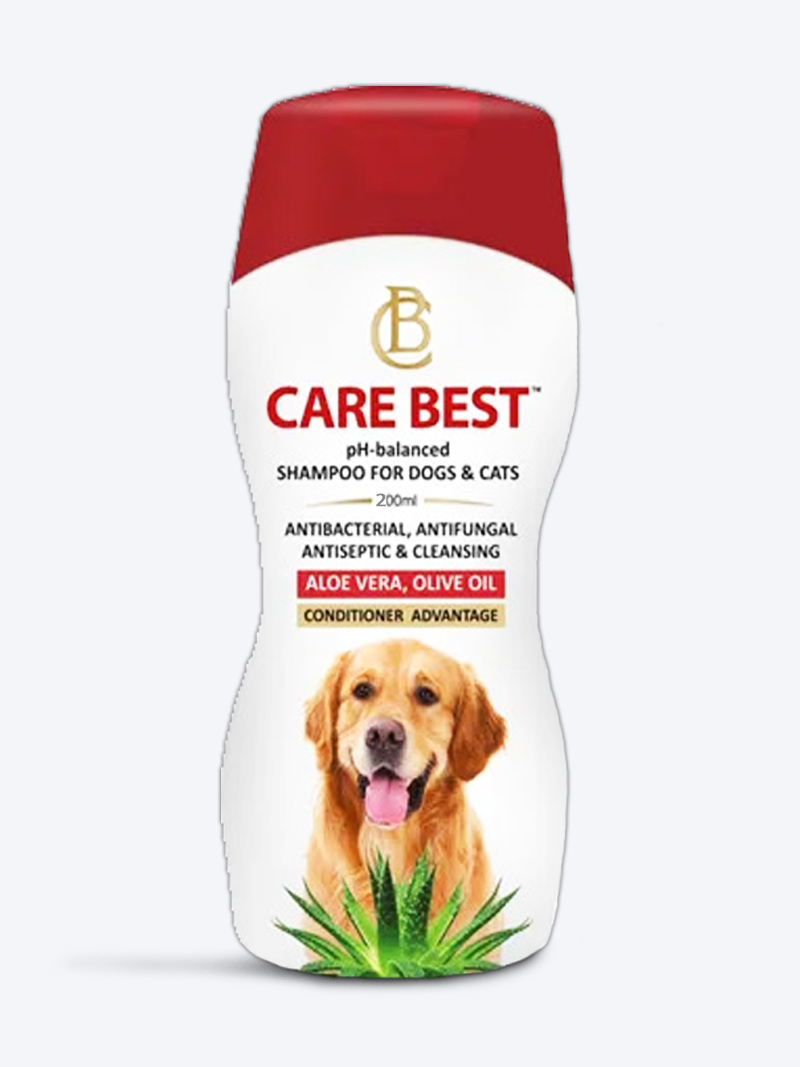 Carebest Antibacterial Antifungal Shampoo for Dogs & Cats 200ml | Skin Care Shampoo for Pets