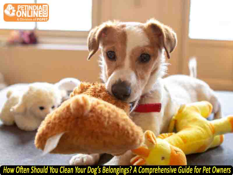 How Often Should You Clean Your Dog’s Belongings? A Comprehensive Guide for Pet Owners